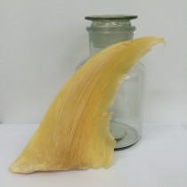 魚翅 (每港斤)